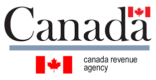 Income Tax Suggestions for the sole proprietor